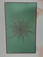 Pattern on my Cupboard.jpg