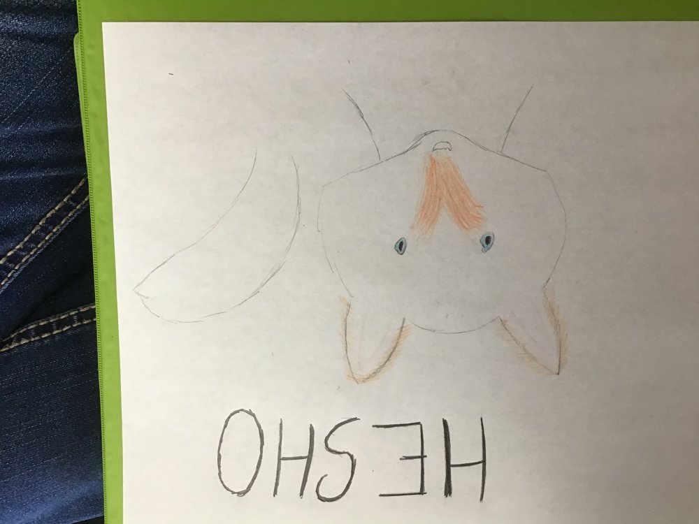 3B02D0CD-22ED-4D34-931E-24657498F90C.thumb.jpeg.00b9af998c0c517f52ed0f84255b50a0.jpeg