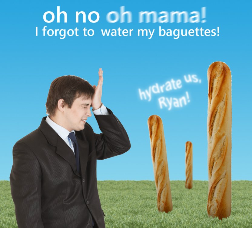 5ccc35ff34747.jpeg