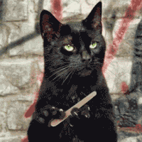 5defe173bd394_giphy(1).gif.6eb8b4e4814dd1c0d85a82f85c482771.gif