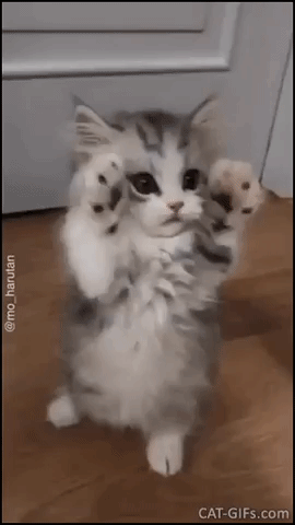5deff7e7328e2_giphy(2).gif.48c8e57dd82c426ce193f1be265b073b.gif