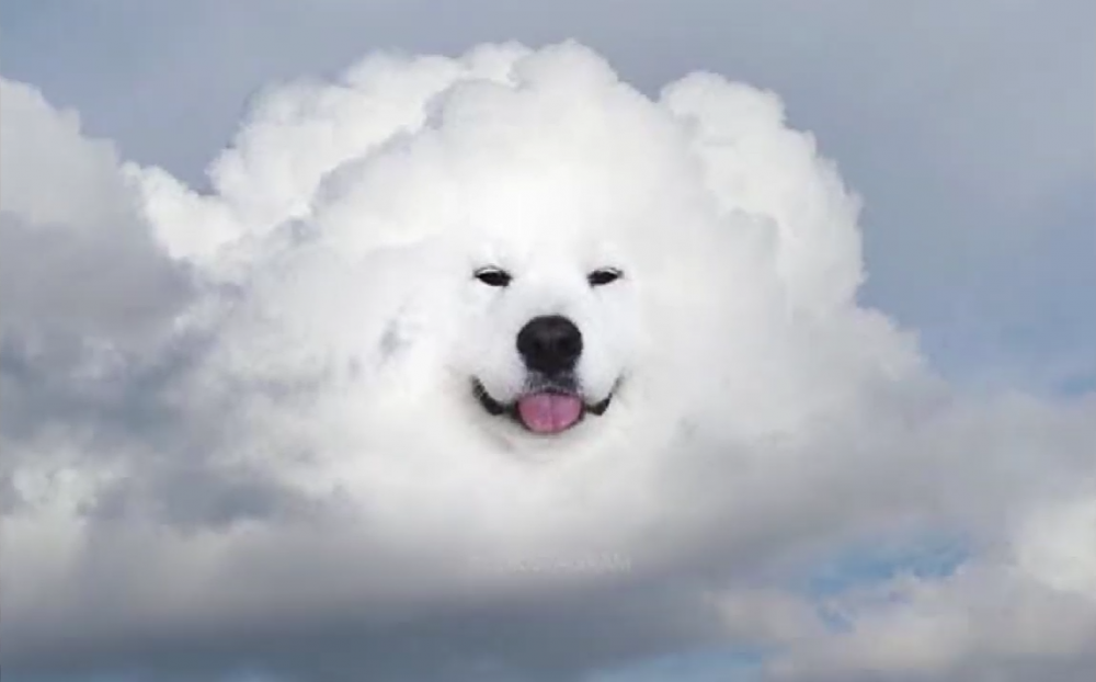 Screenshot_20191223_164557.png