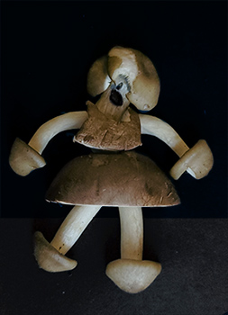 MushroomGirl_Smaller.jpg.03dc93ed3e58c1b6b8e25a8e5018d312.jpg