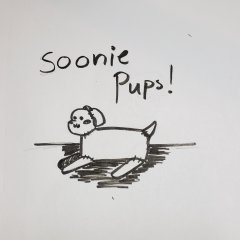 Soonie pup