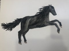 Gallant Watercolor