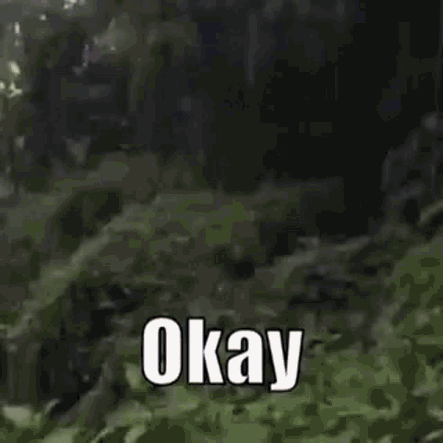 5e8e0ce2cd508_tenor(15).gif.f540d16c37175687d30cdff117ca95a0.gif