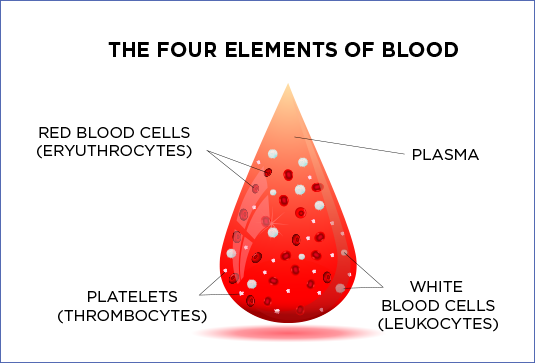 More information about "How in the bloody world did she do that? A biological look at blood Soulcasting"