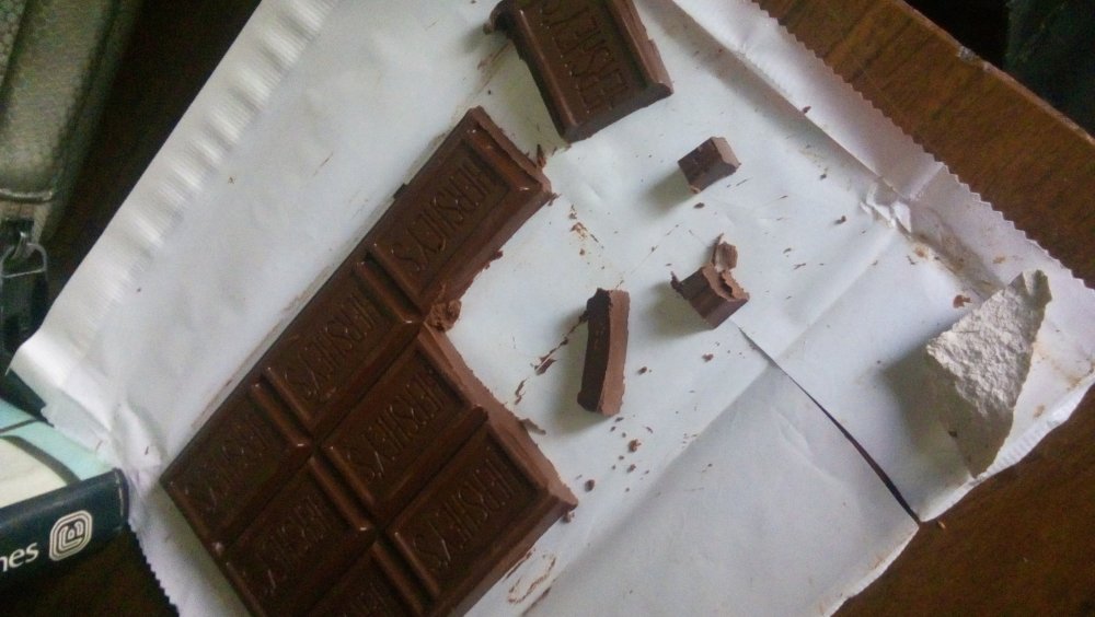 Chocolate.thumb.jpg.8cefa15439b759df58dfd9ed3924b607.jpg