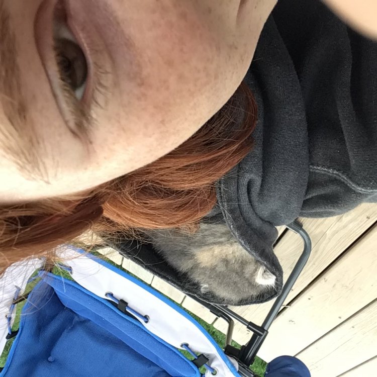 B639B2D7-1AE4-411A-AE1E-4D764D324245.thumb.jpeg.deaae6d80cc62503226531a59e4f743b.jpeg
