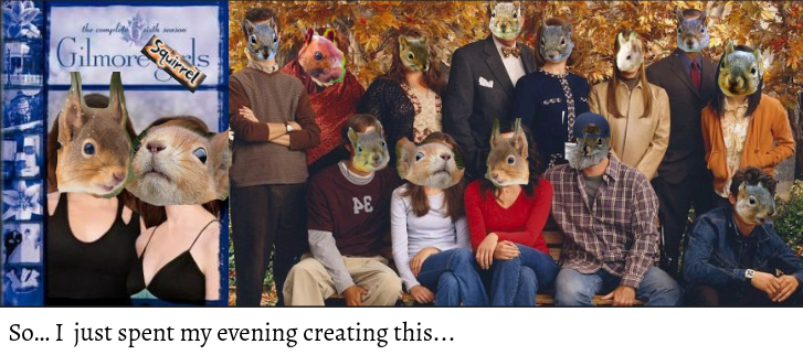Gilmoresquirrels.png.4713fdab48f874d152f0c7cd77ea9d08.png