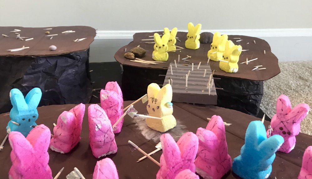 Peeps3.thumb.jpeg.6752ca061735ef25245475ebdb174e34.jpeg