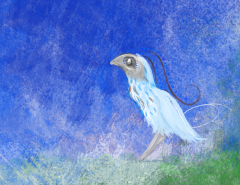 Aviar