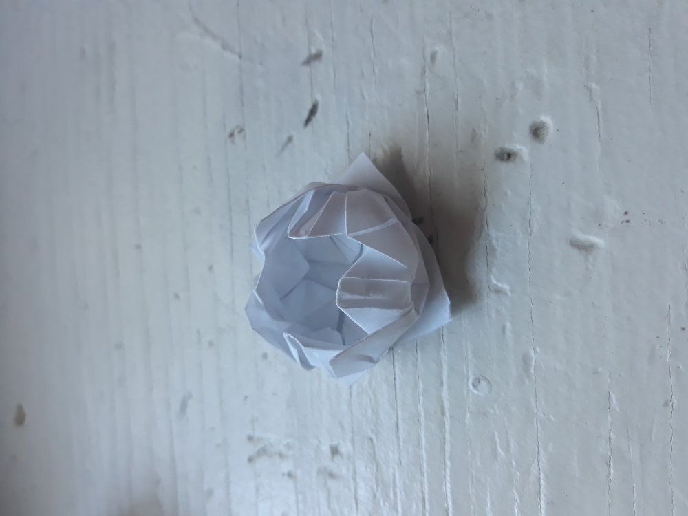 Origami lotus