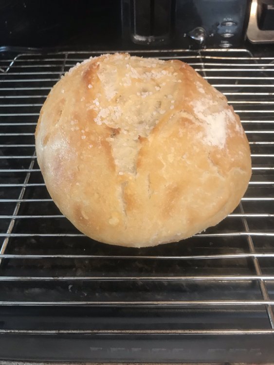 bread 2.jpeg