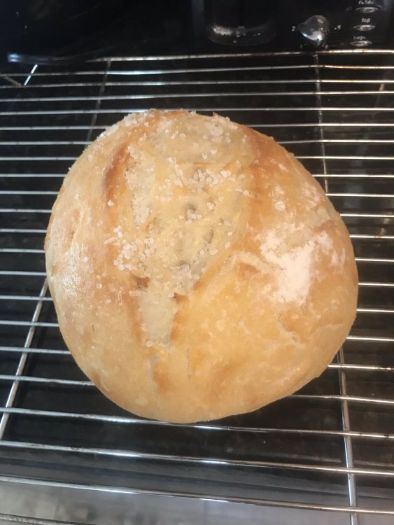 bread1.jpeg