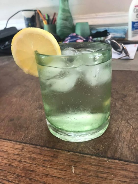 ginandtonic.jpg