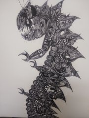 Chasmchullwhitling