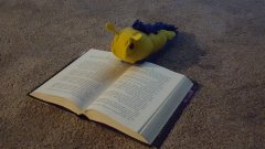 Doomslug.jpg