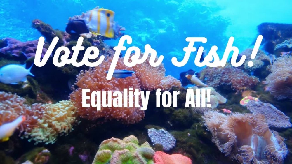 5f38aa3cbadbe_UnderwaterVideoZoomVirtualBackground.thumb.jpg.9a2a0701ef764c2a2a6de08d3869446f.jpg