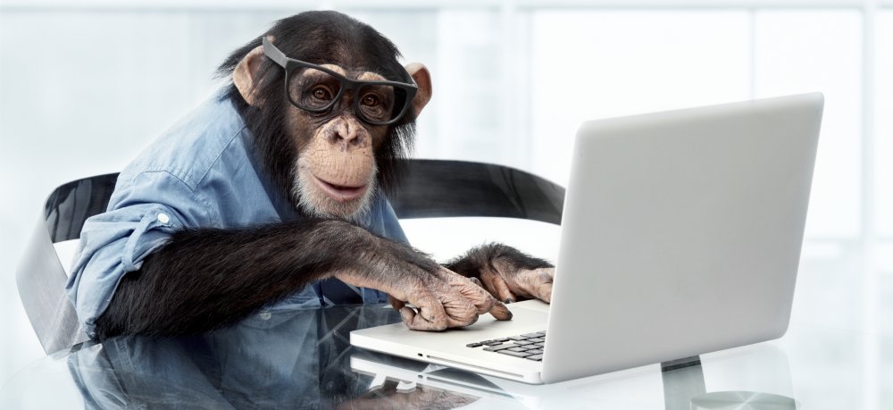 monkey.thumb.jpg.ee744cfa143d0761fd5d2bf62ecd7cba.jpg