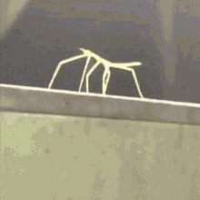 unnamed.gif.17c964d658d778a812025a88c63b6d92.gif
