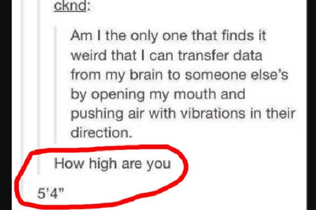42-tumblr-text-posts-that-will-make-you-laugh-no--2-20884-1546873077-0_dblbig.jpg.1c39ba90d89b506eb18b9f82d03aa0a4.jpg