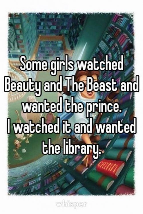 Beauty Beast library.jpg
