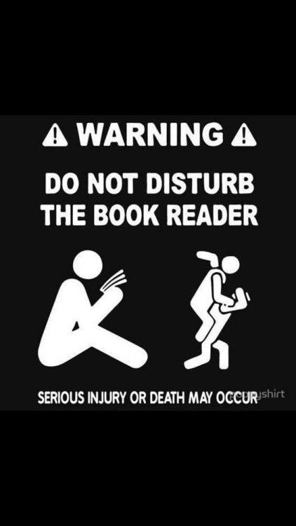 do not disturb book.jpg