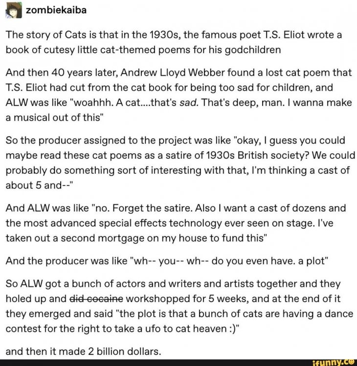 cats story.jpg