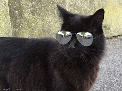 5f62d06479859_giphy(2).gif.e1a6ed84ed3ac660f0a241b6076b39ee.gif
