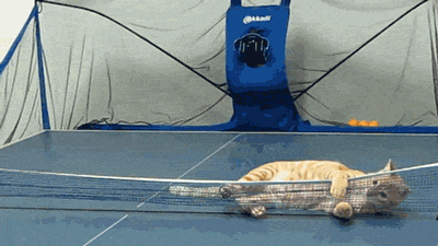 5f63d55841a11_giphy20(1).gif.9ff76f48096e9d174212b0435242db64.gif