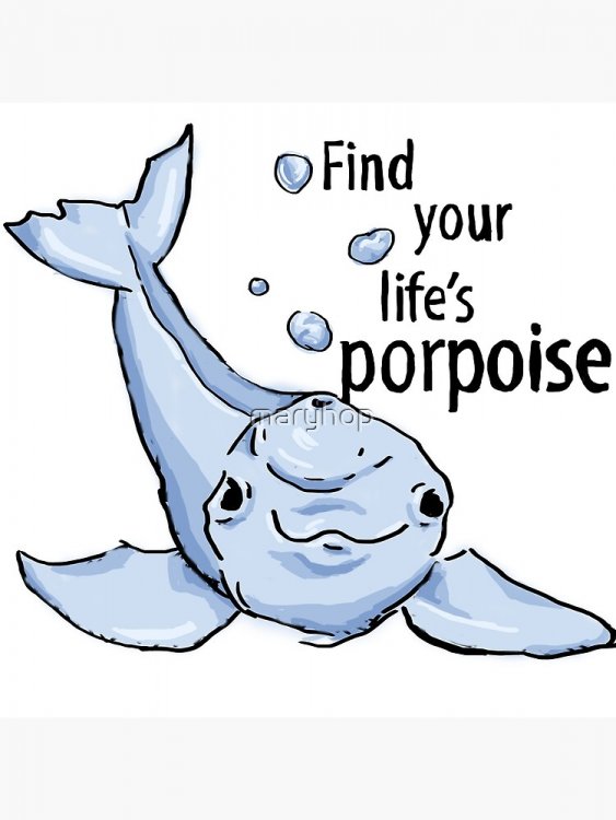 5f73618248d7d_flat750x075f-pad750x1000f8f8f8_u7.thumb.jpg.3a2880b14b964ae59cb4ffd32bf55225.jpg