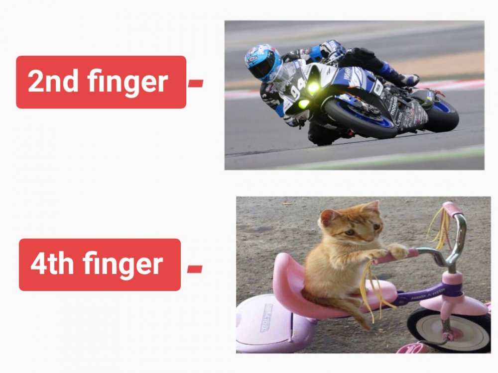 B5D56DDA-B34D-4D0F-B335-AA0154226BFB.jpeg