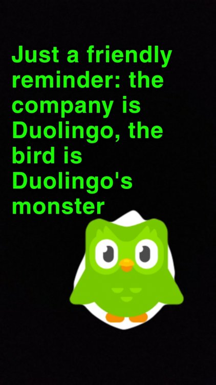 Snapchat-1843384322.jpg