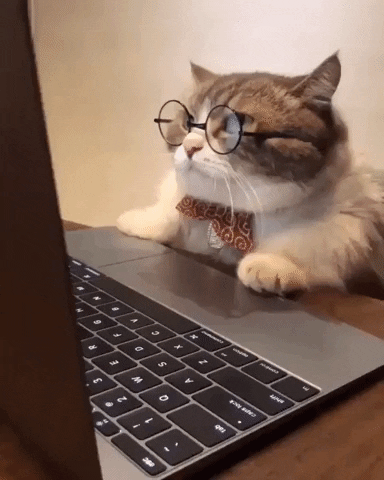 ccccaaaatttt.gif.c368dcf90eeed827a1c5f877d68c2434.gif