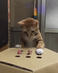 fingerdeath.gif.9d72136c01554421315a251e0e7b402a.gif