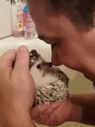 giphy-1.gif.43c8c142d04976f26c4e548d57961963.gif