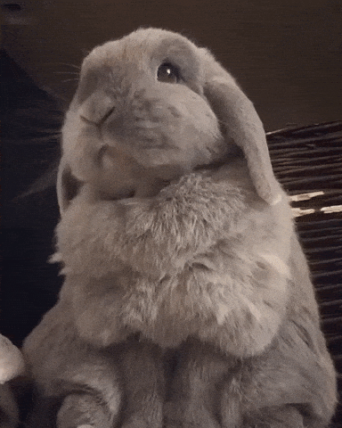 giphy-downsized-medium.gif.9b5af5094796cbbe76f6cd4703b76193.gif
