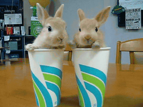 giphy-gif-11.gif.5017d65e2d789710def8107892a1810f.gif