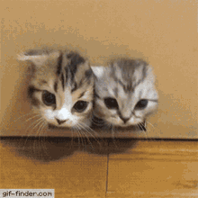 heartturnedtopuddle.gif.8f40ad5d50aefa64816ea96ac39bafbc.gif