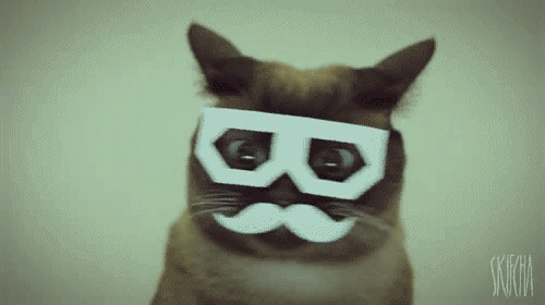 nonono.gif.b46580ec4154e95bd5f7457a5fe0ec98.gif