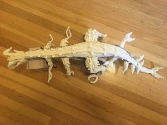 Whitespine (top view)