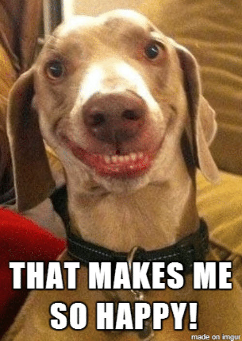 that-makes-me-so-happy-memes.jpg.b14c3b9c8bef5012a0d117560472a30a.jpg