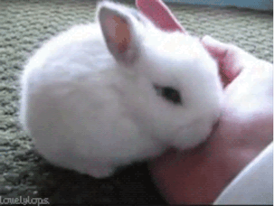 unnamed.gif.1225eb31c69dd2f70f6978aca9f7a529.gif