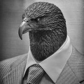 Eagleface