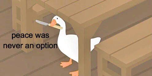 48B8C076-26A2-49E0-9952-097C0F629325.jpeg.4e348ad206333561ce085303220cbfd6.jpeg