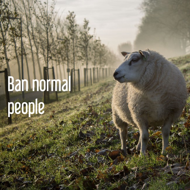 5fa9a48f6eb1d_BanNormalPeople.jpg.919b1456347d98e22303014bc98475b3.jpg