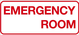 5fb73520165fc_Emergencyroom.png.a5e8d449e68a79999db254bae7ca0ac7.png