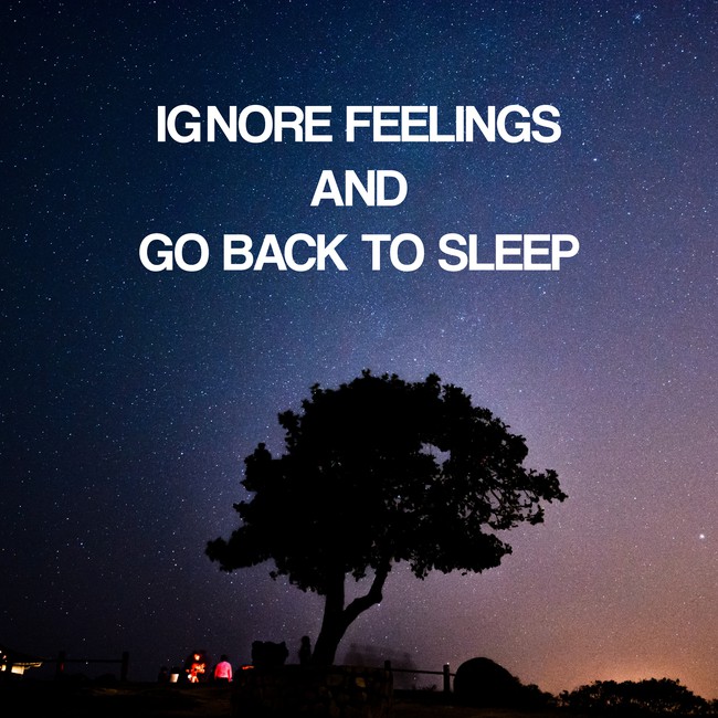 5fbbf9ce851c1_IgnoreFeelingsandgobacktoSleep.jpeg.040829eff6f8c37a22d039f1ccb693d3.jpeg