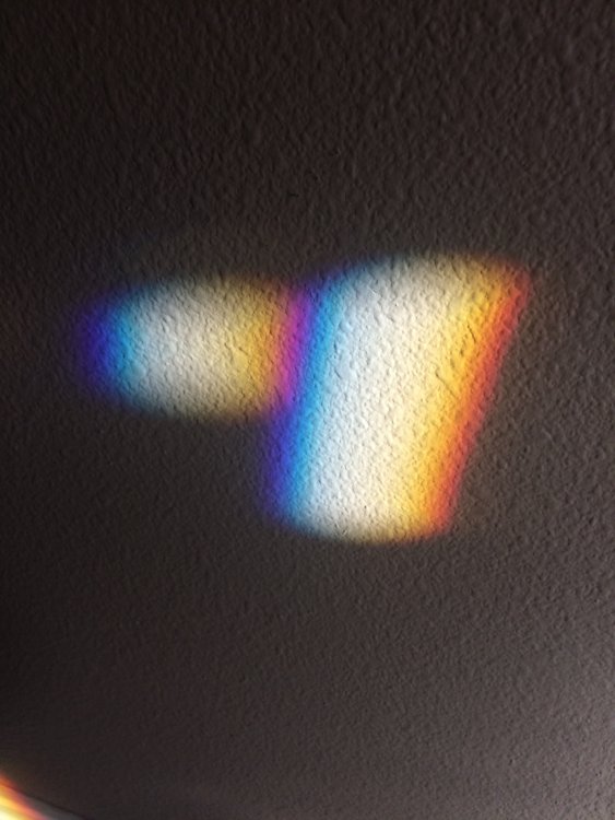 E845D9AC-5A5F-4896-8525-2E12419016A2.thumb.jpeg.e750a1dfcba4c26fb11c7a1559f3cf6e.jpeg
